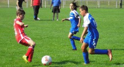 Überzeugender Heimsieg